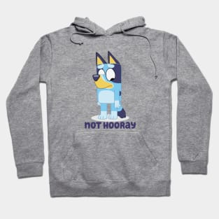 Not Hooray Hoodie